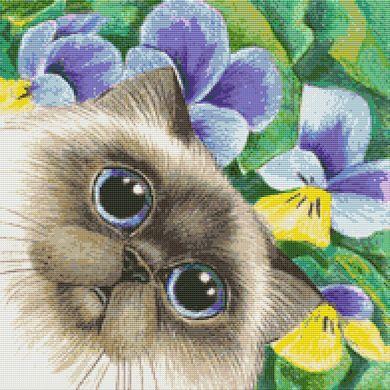 (image for) Siamese and Flowers